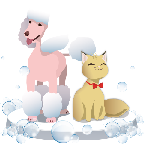 kedi köpek kuaförü